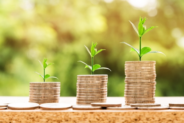 "Impuls Nachhaltigkeitsforschung": Sustainable Development and Economic Thinking Banner