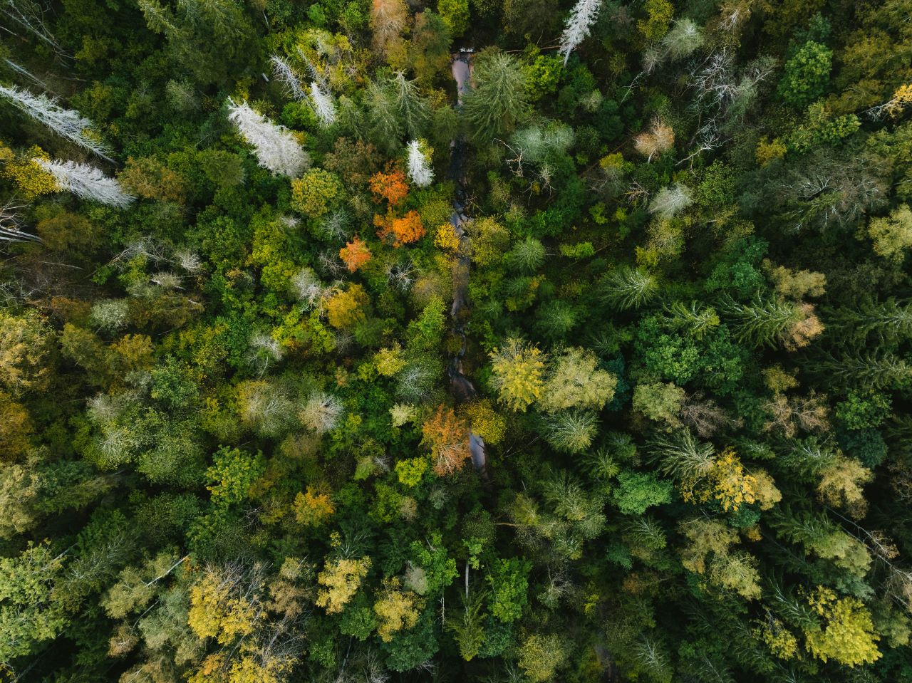 Die Biodiversitätskrise: Was die Forschung zeigt und was hilft Banner