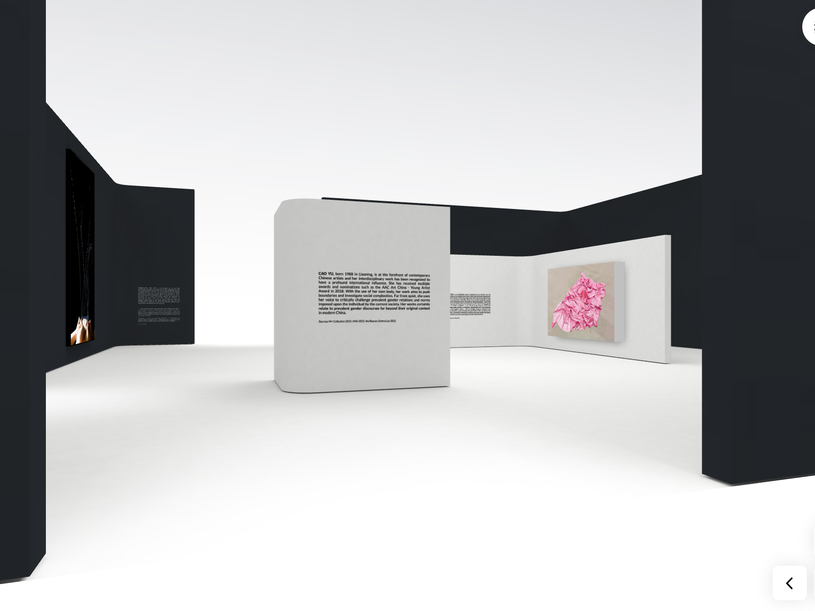 Vernissage "Unframed: The Sigg Collection goes Virtual" Banner
