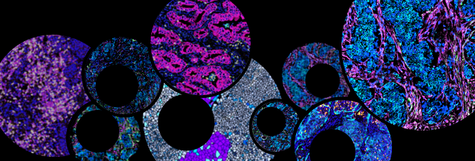 Multiplexed Tissue Imaging Workshop Banner